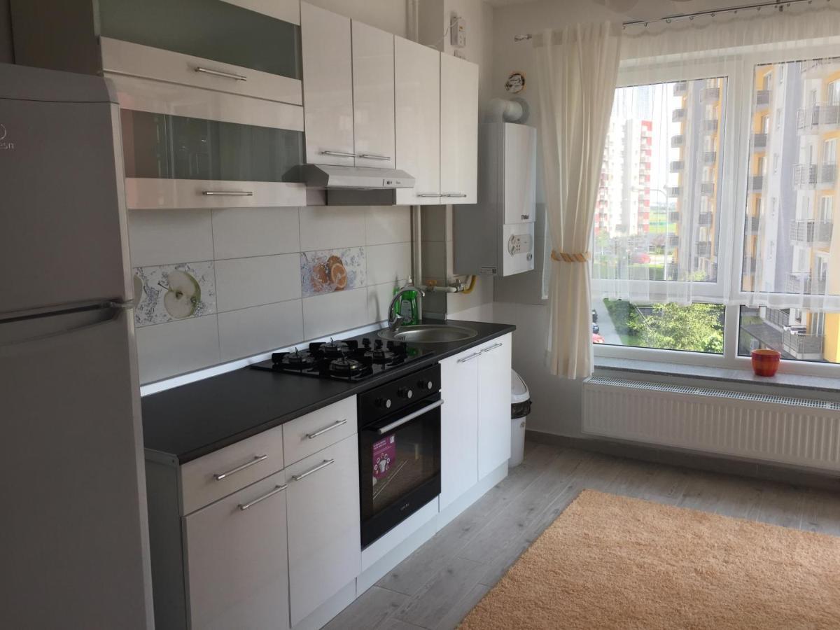 Aki Studio Apartment Brasov Luaran gambar