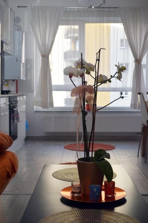 Aki Studio Apartment Brasov Luaran gambar